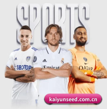 开云围绕看球场景设计的核心服务（kaiyun）